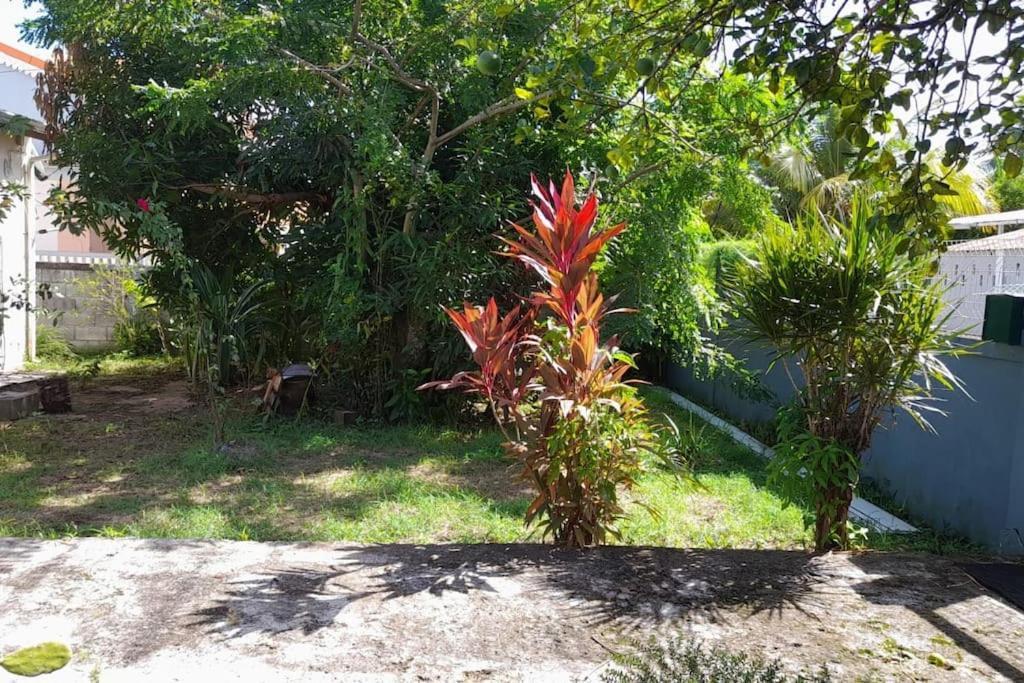 La Petite Maison, Spacieuse, Avec Jardin / Parking Sainte-Rose Exterior foto